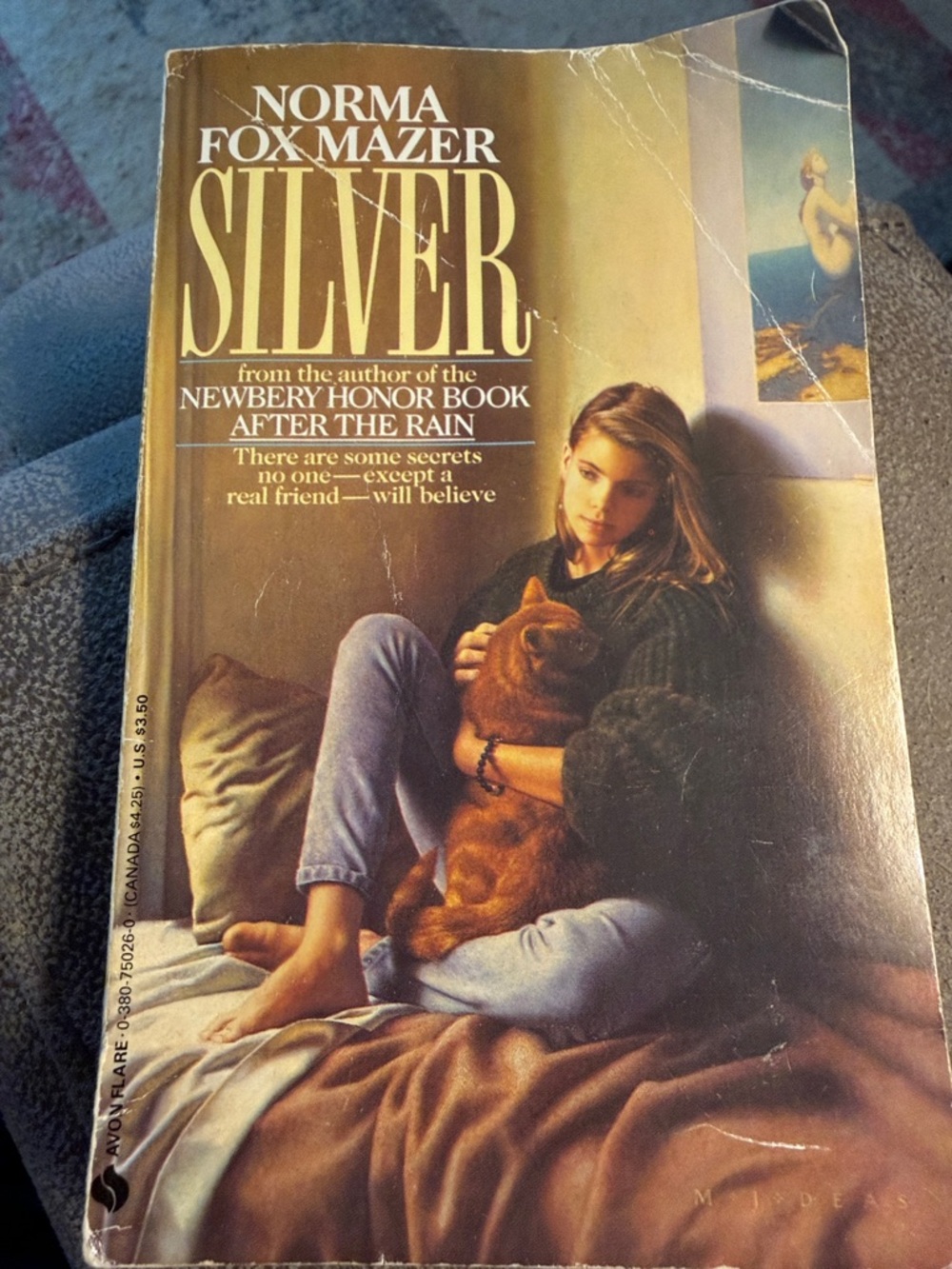 Norma Fox Mazer SILVER Paperback Book - Brown & Tan Cover Vintage 1988 Avon Book